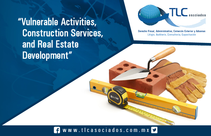 Vulnerable Activities, Construction Services, and Real Estate Development.