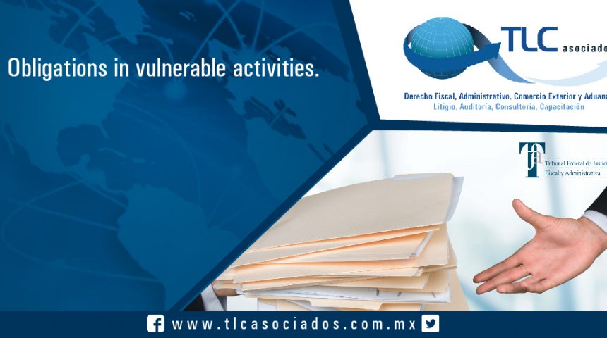 049 – Obligations in vulnerable activities