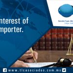 055 – Legal Interest of the Importer