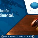 056 – Violación Procedimental