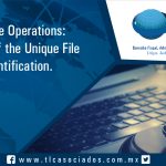 057 – Vulnerable Operations: Exhibition of the Unique File of  Identification