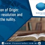 059 – Verification of Origin: contest the resolution and obtain the nullity