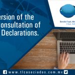 060 – New Version of the “Remote Consultation of Customs Declarations”