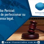 065 – Prueba Pericial: oportunidad de perfeccionar su defensa legal