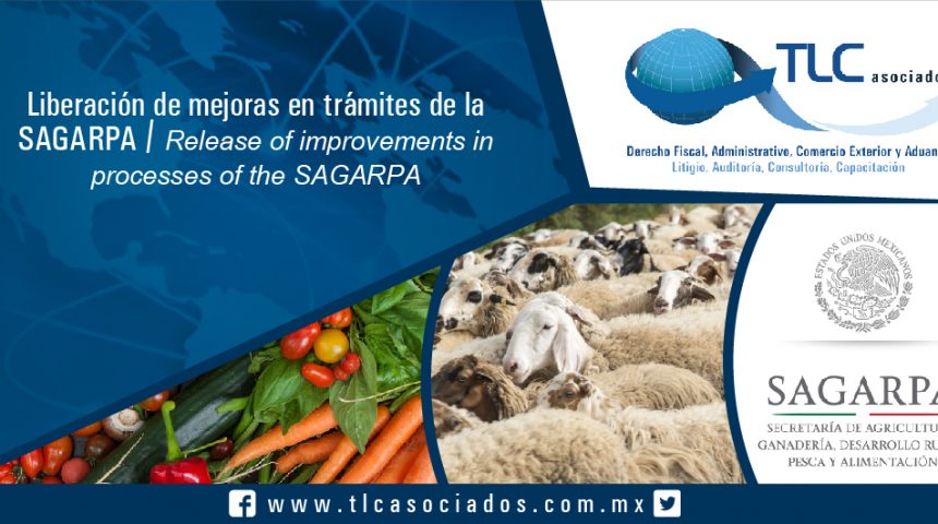 090 – Liberación de mejoras en trámites de la SAGARPA / Release of improvements in processes of the SAGARPA
