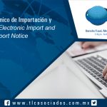 111 – Aviso Electrónico de Importación y Exportación / Electronic Import and Export Notice