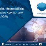 116 – Agentes Aduanales.- Responsabilidad solidaria / Customs Agents.- Joint Liability