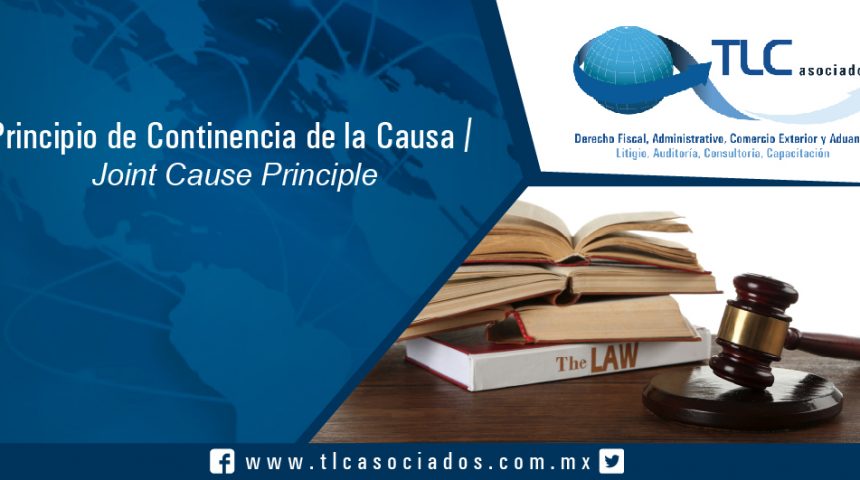 137-Principio de Continencia de la Causa / Joint Cause Principle