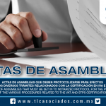 194 – Actas de Asambleas que deben protocolizarse para efectos de los diversos trámites relacionados con la Certificación en IVA e IEPS / Minutes of Assemblies that must be set in to notarized protocol for the purposes of the various procedures related to the VAT and STPS Certification