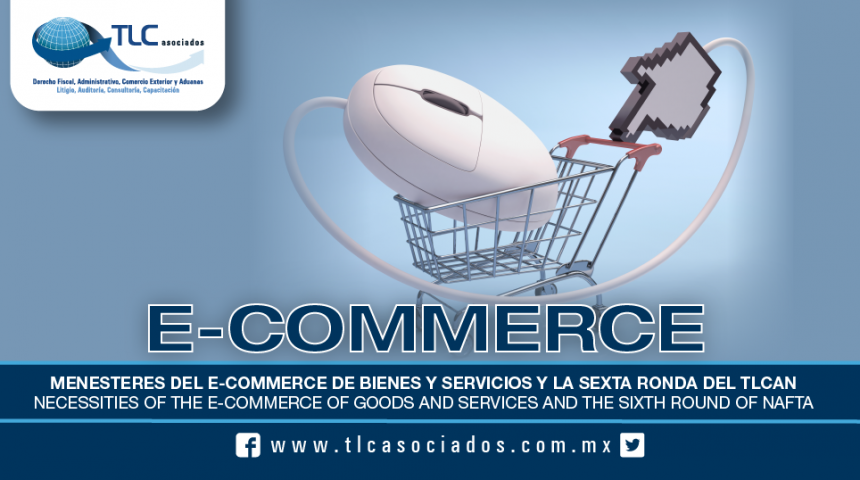 T48 – MENESTERES DEL E-COMMERCE DE BIENES Y SERVICIOS Y LA SEXTA RONDA DEL TLCAN / NECESSITIES OF THE E-COMMERCE OF GOODS AND SERVICES AND THE SIXTH ROUND OF NAFTA