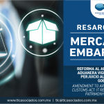 304 – Reforma al artículo 157 de la Ley Aduanera vigente: representa un perjuicio al patrimonio de los gobernados / Amendment to article 157 of the current Customs Act: it represents damage to the patrimony of the governed.