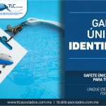 309 – Gafete Único de Identificación para Transportista/ Unique Identification Badge for Carriers