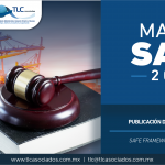 315 – Publicación del Marco SAFE 2018/ SAFE Framework Publication 2018.