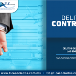 335 – Delito de contrabando en las empresas IMMEX/ Smuggling crimes in IMMEX enterprises.