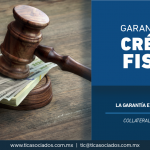 343 – La garantía en un crédito fiscal/ The guarantee in a fiscal credit.