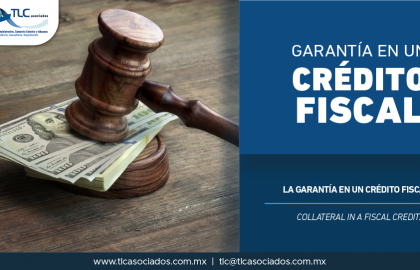 343 – La garantía en un crédito fiscal/ The guarantee in a fiscal credit.