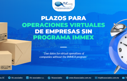 378 – Plazos para operaciones virtuales de empresas sin programa IMMEX/ Virtual operations terms for companies without IMMEX program