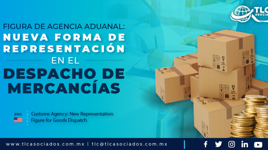 C2 – Figura de Agencia Aduanal: nueva forma de representación en el Despacho de Mercancías/ Customs Agency: New Representation Figure for Goods Dispatch