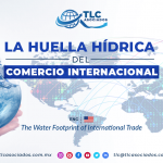 RI7 – La Huella Hídrica del Comercio Internacional/ The Water Footprint of International Trade