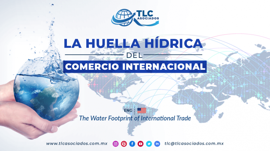 RI7 – La Huella Hídrica del Comercio Internacional/ The Water Footprint of International Trade