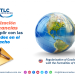 CS4 – Regularización de mercancías por no cumplir con las formalidades en el despacho/ Regularization of Goods to Avoid Compliance with the Formalities of the Dispatch