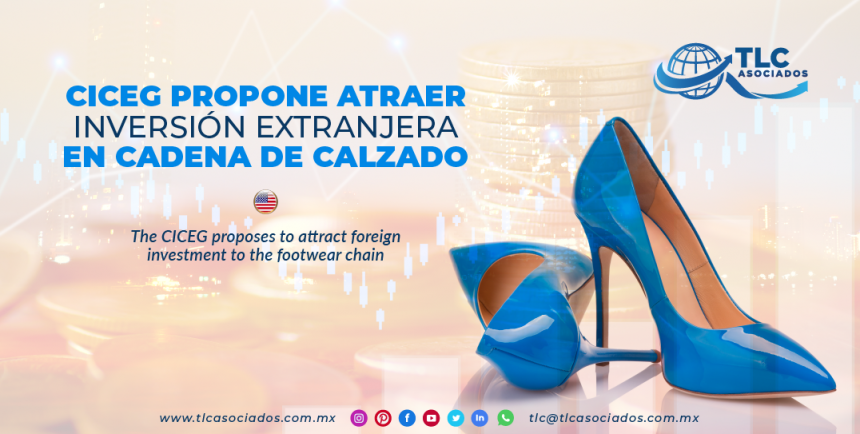 NC6 – CICEG propone atraer inversión extranjera en cadena de calzado/ The CICEG proposes to attract foreign investment to the footwear chain