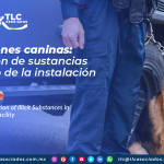 CO15 – Inspecciones caninas: Identificación de sustancias ilícitas dentro de la instalación/ K9 Inspections: Identification of Illicit Substances in the Facility