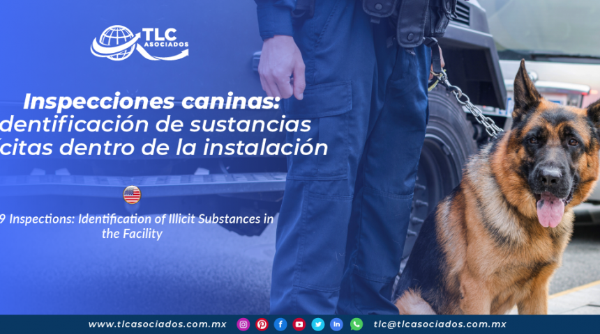 CO15 – Inspecciones caninas: Identificación de sustancias ilícitas dentro de la instalación/ K9 Inspections: Identification of Illicit Substances in the Facility