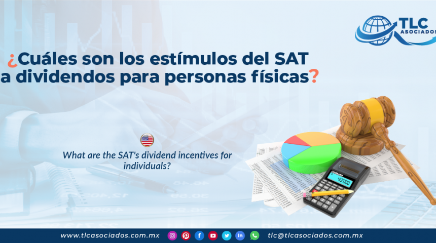IC8 – ¿Cuáles son los estímulos del SAT a dividendos para personas físicas?/ What are the SAT’s dividend incentives for individuals?