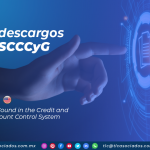CS17 – Sobre-descargos en el SCCCyG/ Over-discharges Found in the Credit and Guarantee Account Control System
