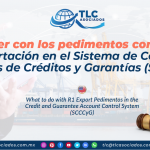 CS19 – Qué hacer con los pedimentos con clave R1 de exportación en el Sistema de Control de Cuentas de Créditos y Garantías (SCCCyG)/ What to do with R1 Export Pedimentos in the Credit and Guarantee Account Control System (SCCCyG)