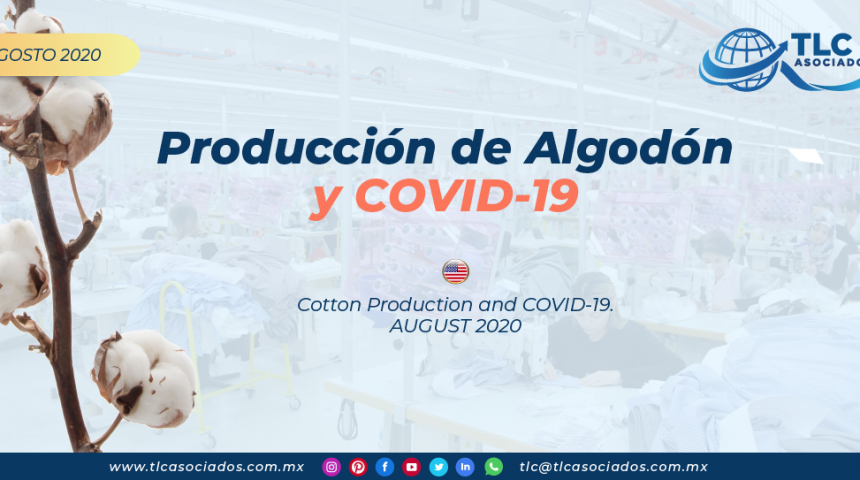 RI26 – Producción de Algodón y COVID-19/ Cotton Production and COVID-19