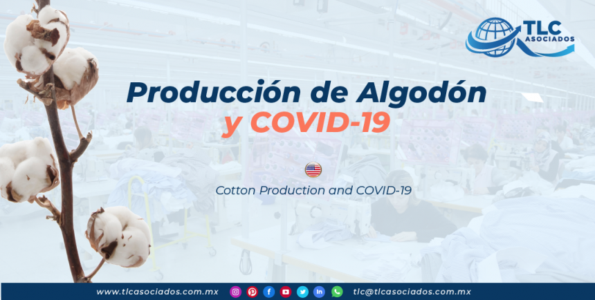 RI26 – Producción de Algodón y COVID-19/ Cotton Production and COVID-19