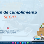 DC4 – Dictamen de cumplimiento SECIIT/ SECIIT Compliance Report