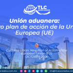 RI29 – Unión aduanera: nuevo plan de acción de la Unión Europea (UE)/ Customs Union: New Plan of Action of the European Union (EU)