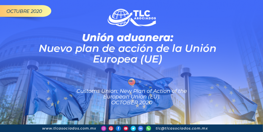 RI29 – Unión aduanera: nuevo plan de acción de la Unión Europea (UE)/ Customs Union: New Plan of Action of the European Union (EU)