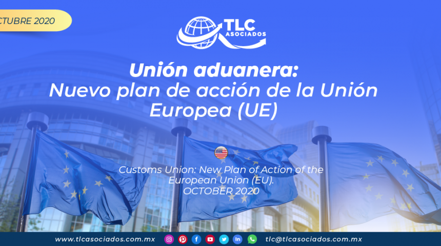 RI29 – Unión aduanera: nuevo plan de acción de la Unión Europea (UE)/ Customs Union: New Plan of Action of the European Union (EU)