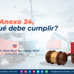 Anexo 24, ¿con qué debe cumplir?/ Annex 24, What Must You Comply With?