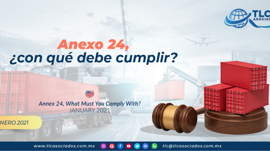 Anexo 24, ¿con qué debe cumplir?/ Annex 24, What Must You Comply With?