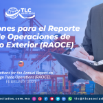 Facilitaciones para el Reporte Anual de Operaciones de Comercio Exterior (RAOCE)