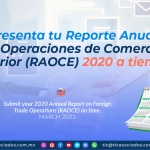Presenta tu Reporte Anual de Operaciones de Comercio Exterior (RAOCE) a tiempo