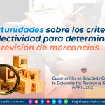 Oportunidades sobre los criterios de selectividad para determinar la revisión de mercancías