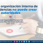 Manual de organización interna de las dependencias no puede crear autoridades