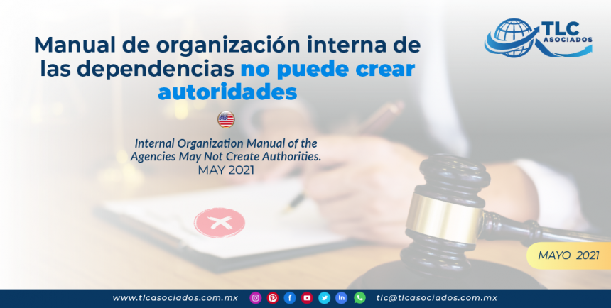 Manual de organización interna de las dependencias no puede crear autoridades