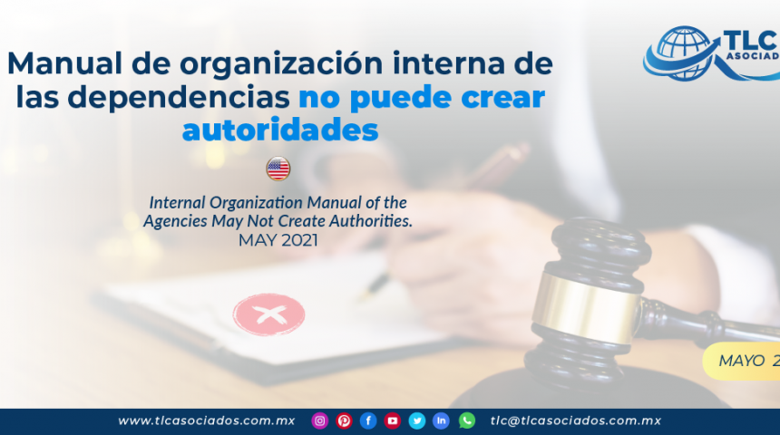 Manual de organización interna de las dependencias no puede crear autoridades