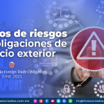 Elementos de riesgos en las obligaciones de comercio exterior