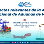 Aspectos relevantes de la agencia nacional de aduanas de México