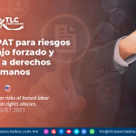 Guía de CTPAT para riesgos de trabajo forzado y abusos a derechos humanos