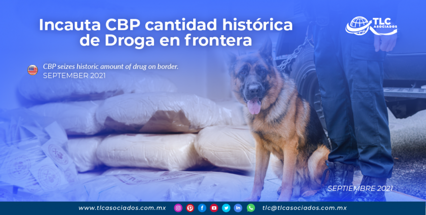Incauta CBP cantidad histórica de Droga en frontera
