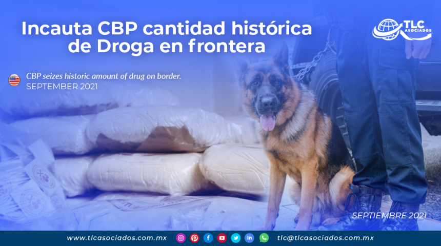 Incauta CBP cantidad histórica de Droga en frontera